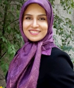 Nasrin Shakib Ansari